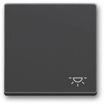 Busch Jaeger 2CKA001751A3186