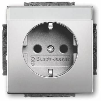 Busch Jaeger 2CKA002013A5432