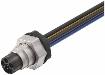 Murrelektronik 7000-P8281-P810025