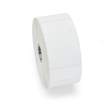 Zebra 3005997
