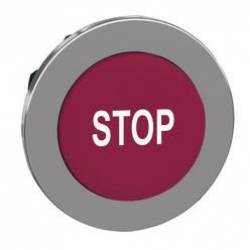 Schneider Electric ZB4FL434