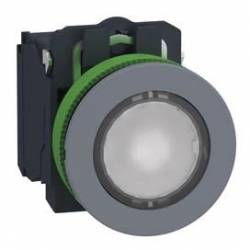 Schneider Electric XB5FW31B5C0