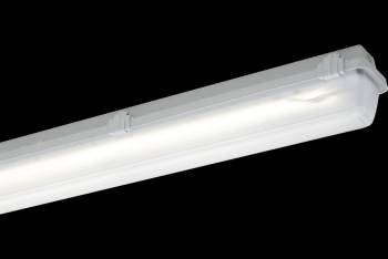 Schuch 161170350