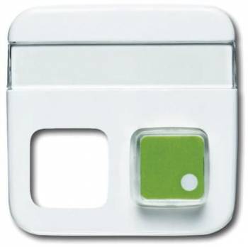 Busch Jaeger 2CKA001582A0347