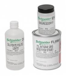 Schneider Electric NSYAUPG1G