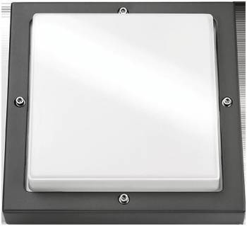 SG 623197