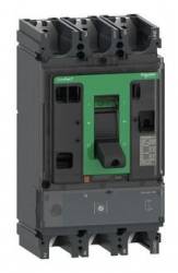 Schneider Electric C63H31M500