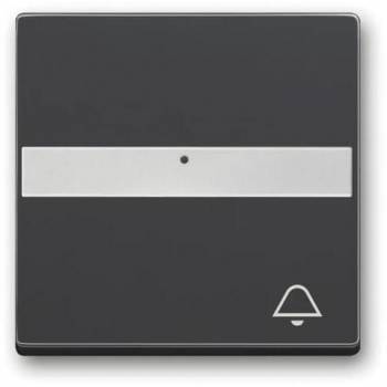 Busch Jaeger 2CKA001731A3998