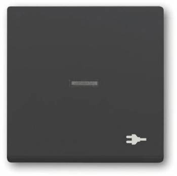 Busch Jaeger 2CKA001751A3157