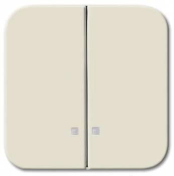 Busch Jaeger 2CKA001731A3992