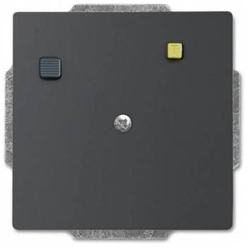 Busch Jaeger 2CKA003117A0013