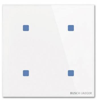 Busch Jaeger 2CKA006300A1561