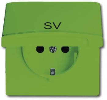 Busch Jaeger 2CKA002064A0311