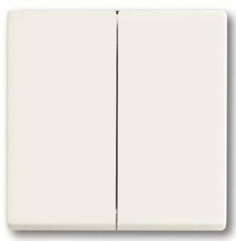 Busch Jaeger 2CKA006730A0140