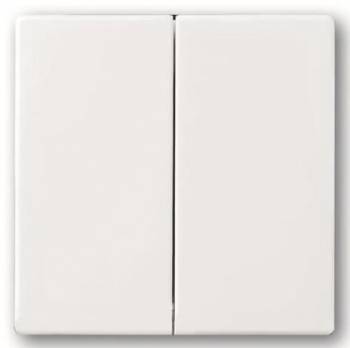 Busch Jaeger 2CKA006730A0136