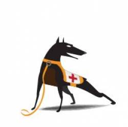 Ruckus 807-T350-1000