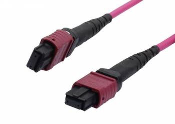 Synergy 21 S216787