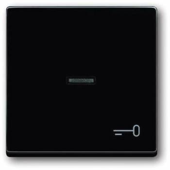 Busch Jaeger 2CKA001751A2933