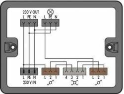 WAGO 899-631/305-000