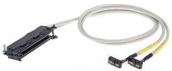 WAGO 706-2500/204-300