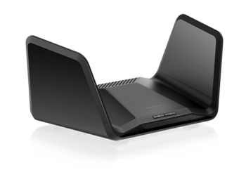 Netgear RAXE300-100EUS