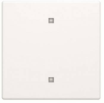 Busch Jaeger 2CKA001751A3260