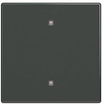 Busch Jaeger 2CKA001751A3261