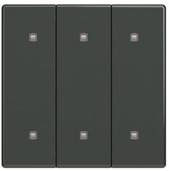 Busch Jaeger 2CKA001751A3283