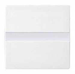 Busch Jaeger 2CKA006800A2881