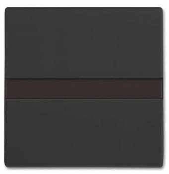 Busch Jaeger 2CKA006800A2882