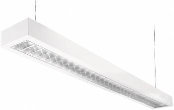SG 8246089573