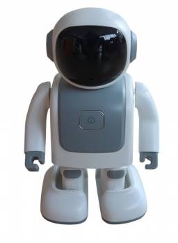 ALLNET Robert