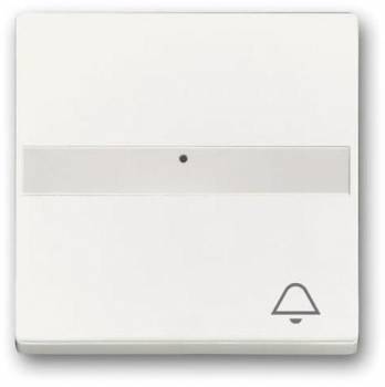 Busch Jaeger 2CKA001731A4004