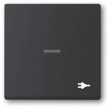 Busch Jaeger 2CKA001751A3164