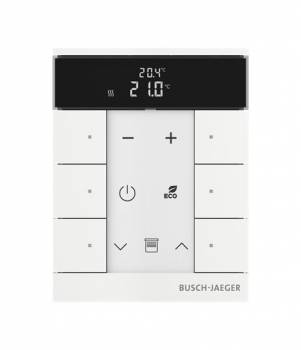 Busch Jaeger 2CKA006220A0894
