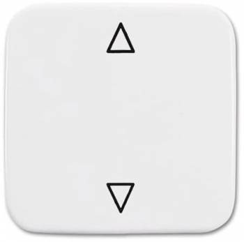 Busch Jaeger 2CKA001731A2022