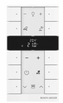Busch Jaeger 2CKA006220A0889