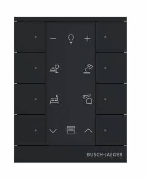 Busch Jaeger 2CKA006220A0898