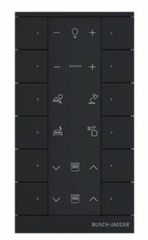 Busch Jaeger 2CKA006220A0899