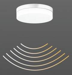 RZB 312135.002.3.191