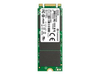 Transcend TS256GMTS600