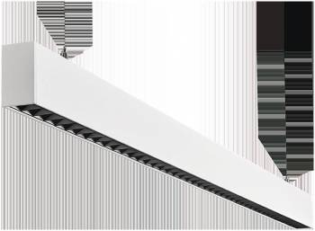 SG 212081