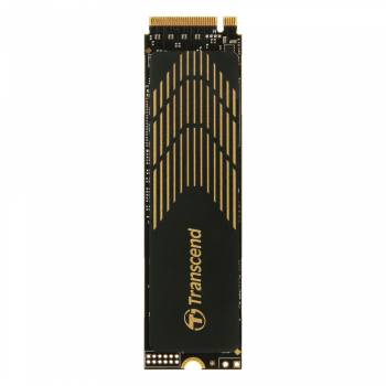 Transcend TS500GMTE245S