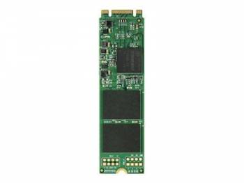 Transcend TS256GMTS800S