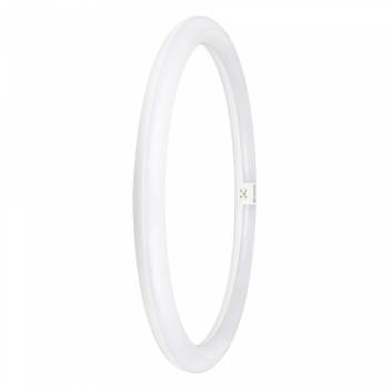 Osram 4099854042584