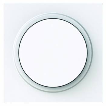 Busch Jaeger 2CKA006599A3052
