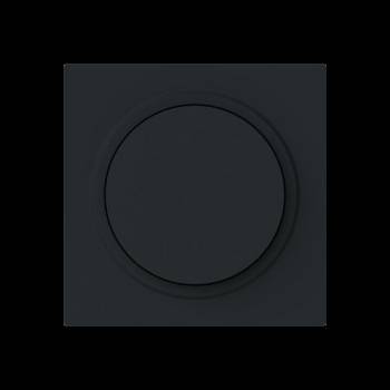 Busch Jaeger 2CKA006599A3055