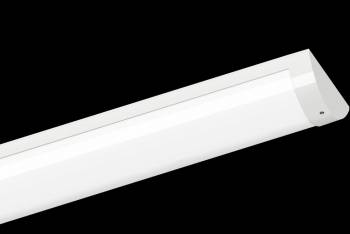 Schuch 142000004