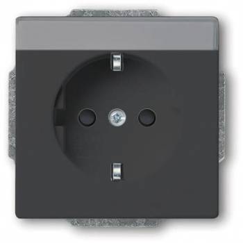 Busch Jaeger 2CKA002013A5427