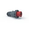 Bals 2189-1